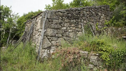 Una antigua bodega en San Mamede