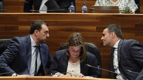 El pesidente del Principado, Adri�n Barb�n charla en el esca�o con el consejero, Guillermo Pel�ez, interviene en el pleno extraordinario de la Junta General del Principado, para debatir sobre financiaci�n auton�mica