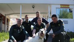Pist�n se reencuentra con los agentes de la Guardia Civil que le salvaron en O Carballi�o