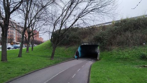 Túnel en el parque de Moreda