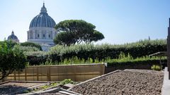 Imagen del�huerto de los jardines vaticanos