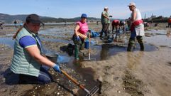 Las mariscadoras realizaron traslados de almeja de unas zonas a otras de los bancos para intentar mejorar su productividad