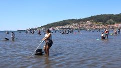 Mariscadoras en A Seca en la ra de Pontevedra este martes