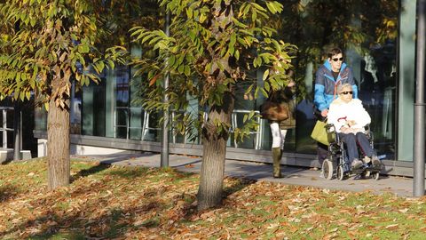 Llega el oto�o a los �rboles de la ciudad. Elvi�a