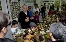 La muestra est� a disposici�n del p�blico en la Escola Municipal de M�sica.