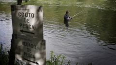 Tramo vedado a la pesca junto a otro con la categor�a de coto en el r�o Ulla
