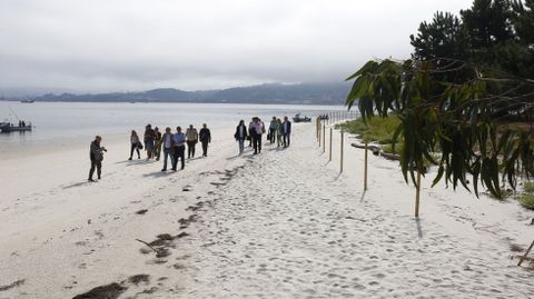 Las estacas delimitan la zona de dunas de la playa Area Grande da Illa de Tambo