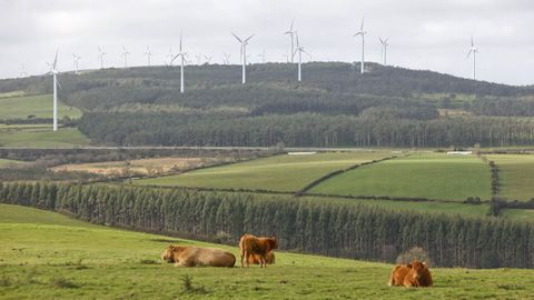 Aerogeneradores de parques e�licos en O Alto da Ga�idoira vistos desde la carretera LU-540, que une Xermade con Viveiro.