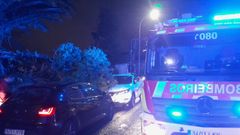 El SPEIS ante un �rbol que se desplom� sobre dos coches en Nar�n.