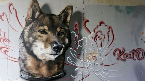 Grafiti hecho por Rubén Paz de su perro. Sigue pintando por afición para que no se convierta en un trabajo rutinario
