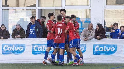 Los jugadores del Berganti�os celebran el gol de Dar�o Germil frente al Fabril hace ahora dos semanas en As Eiroas (2-2).