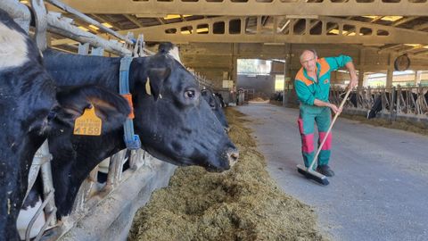 La granja Casa de Polo, de Barreiros, tiene cien vacas en lactacin u ordeo