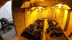 Detenido un exmilitar con una explotaci�n de marihuana completa