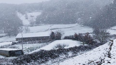 En San Xo�n de R�o nieva de manera copiosa.