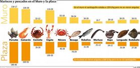 Precios del pescado y del marisco ayer en A Coru�a 