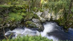 Un paseo en im�genes por el r�o Carabelos