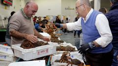 Subasta de centolla en O Grove