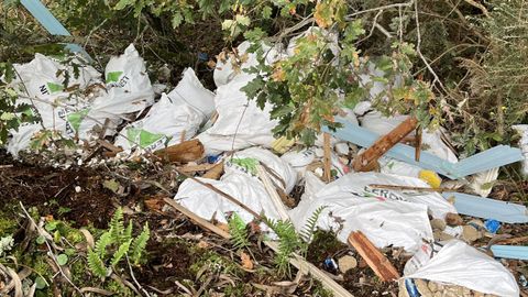 Parte del material que fue depositado junto al yacimiento de Pena Furada.