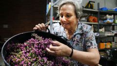 Sesenta a�os haciendo arte con flores por Corpus