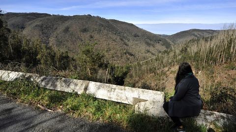 Cuatro a�os del incendio. Calcin� 750 hect�reas. El bosque contin�a rebrotando y a�n hay �rboles da�ados donde se aprecian las consecuencias del devastador fuego.