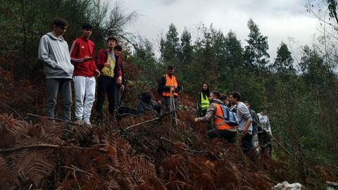 Alumnos del IES de Ponte Caldelas, durante los trabajos de campo del proyecto Monte Vivo, impulsado por Voz Natura