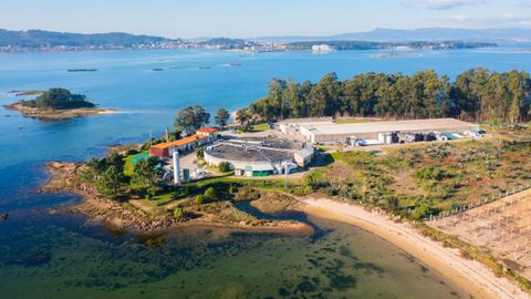 Planta de Sea Eight en Cambados