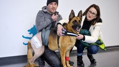 Una pata bi�nica para Zeta