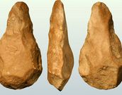 Algunas de las piezas recogidas.