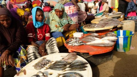 Mujeres con sus puestos de pescado en un mercado en Gambia