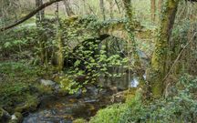 El antiguo puente de As Balsas, hecho de canter�a