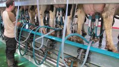 En la comarca funcionan en la actualidad unas 450 explotaciones l�cteas