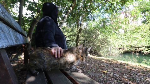 Elena (nombre ficticio) tendr� que revivir todo lo ocurrido a su hija en la vista judicial fijada para el d�a 29 de octubre