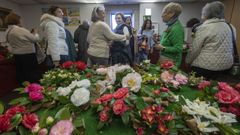 La camelia en A Rocha Vella