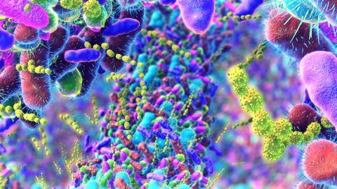 Representaci�n de la microbiota intestinal, el conjunto de microorganismos que activan el sistema inmune del organismo