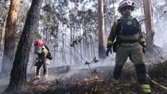 O orzamento investido para o mantemento de bosques e prevenci�n de incendios foi de 800.000 euros