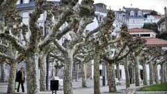 Ortigueira es el municipio que m�s poblaci�n ha perdido en la comarca, con un 36,48 % menos que en el a�o 2000