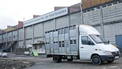 El matadero de Pontevedra retomo su actividad el 1 de diciembre del 2014