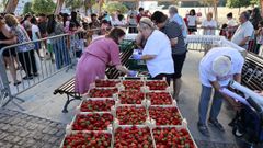 Festa da Fresa en Eir�s