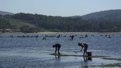 Mariscadoras, en una foto de archivo, en Os Praceres, en la ra de Pontevedra,