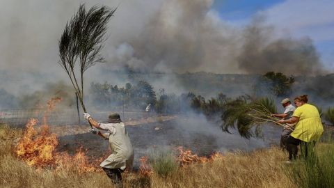 Tareas de extinción este domingo en la ciudad portuguesa de Trancoso.