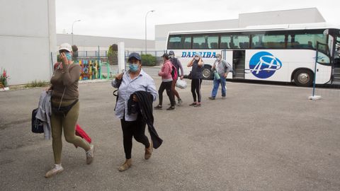 Algunos de los trabajadores de la empresa en la que dio positivo un jornalero de Castro de Rei