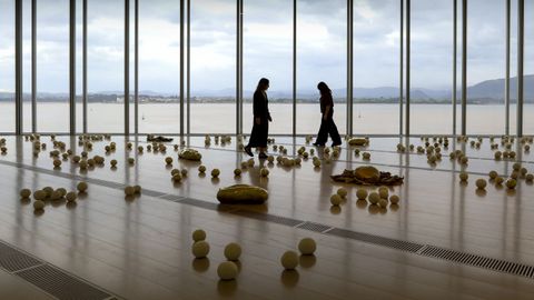 Exposici&oacute;n de Solange Pessoa en el Centro Bot&iacute;n