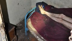 Sus hermanos le ten�an encerrado en un palomar