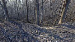 El fuego arrasa la parte occidental de Asturias