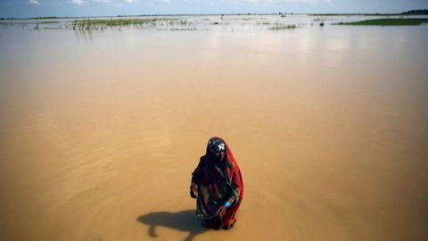 Una v�ctima de las inundaciones en el distrito de Saptari, Nepal