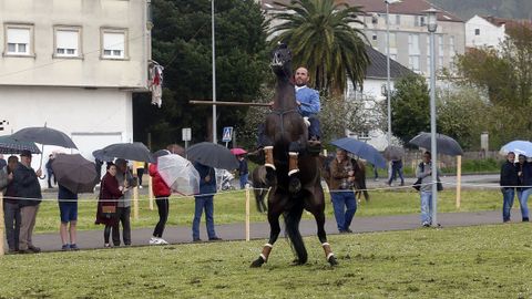 Feria caballar en las Fiestas de San Marcos 2019