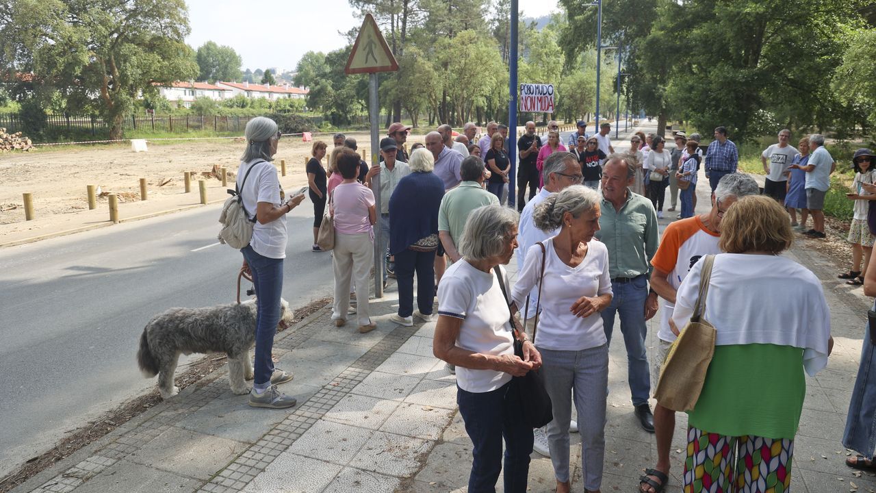 Protesta por la tala de pinos en Cabanas