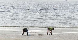 Posibles furtivos campando a sus anchas a �ltima hora de la tarde de ayer en la playa de Barra�a.