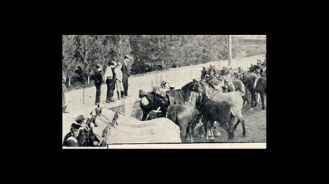 Caballer�as empleadas para acarrear las piezas de artiller�a en su llegada a B�veda