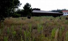 La vegetaci�n supera el metro de altura en algunos tramos del recinto.